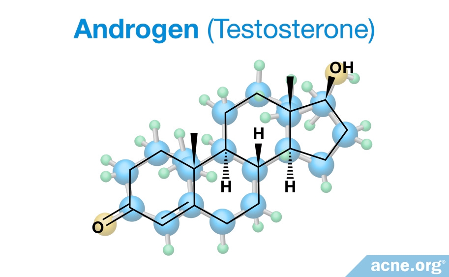 Androgen (Testosterone)