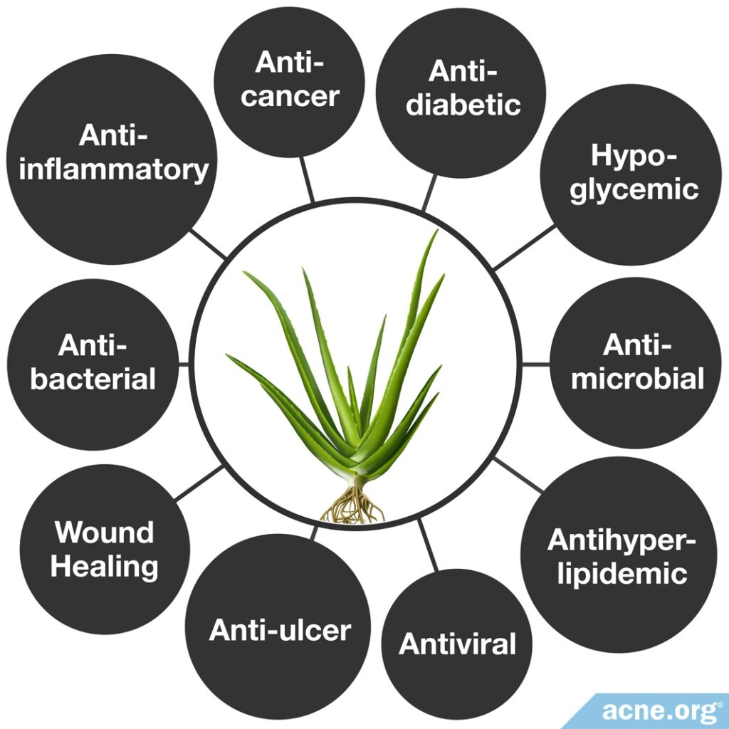 Healing Properties of Aloe