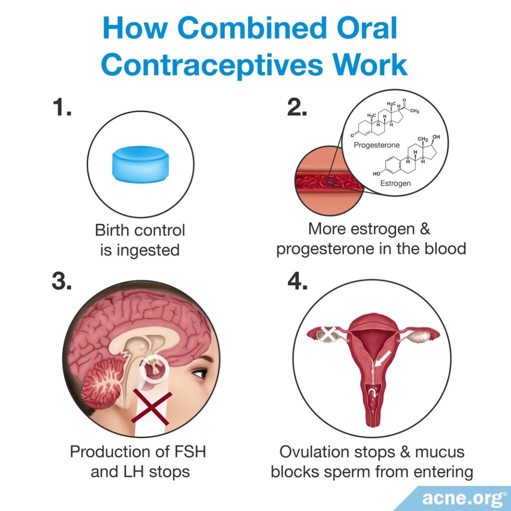 How Combined Oral Contraceptives Work