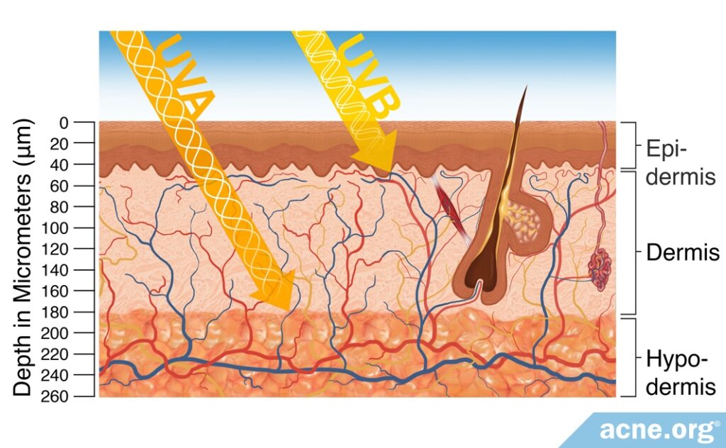 How Far UVA/UVB Rays Reach Into the Skin