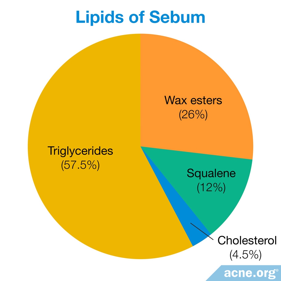 Lipids of Sebum