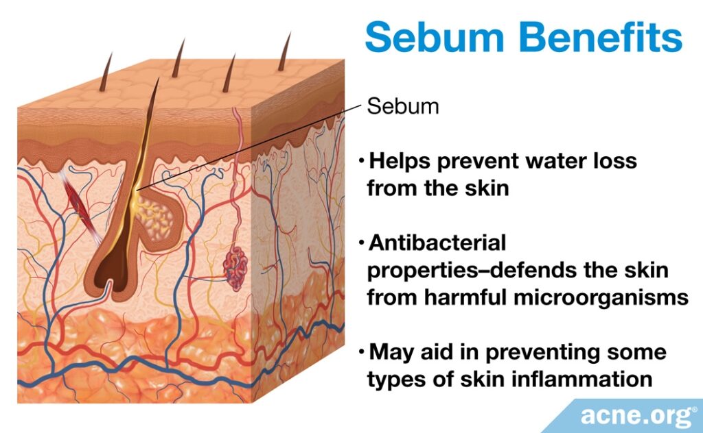 Sebum Benefits