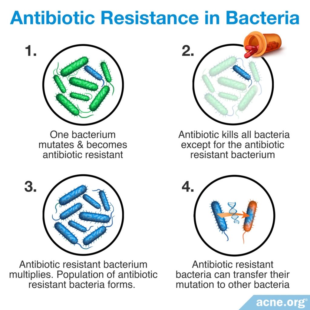 Antibiotic Resistance in Bacteria