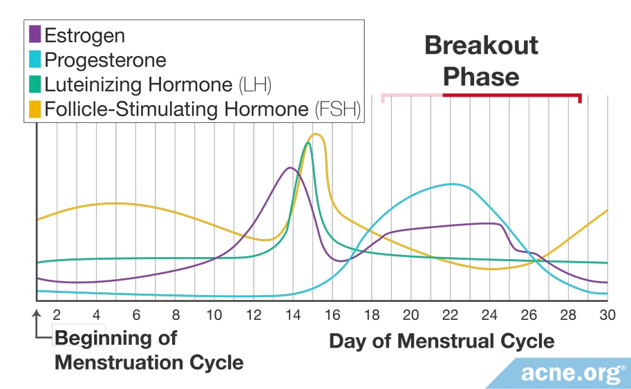 Graph Showing Hormone Production During Menstrual Cycle