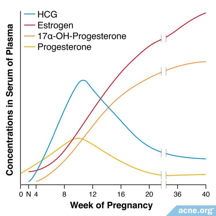Hormone levels during pregnancy