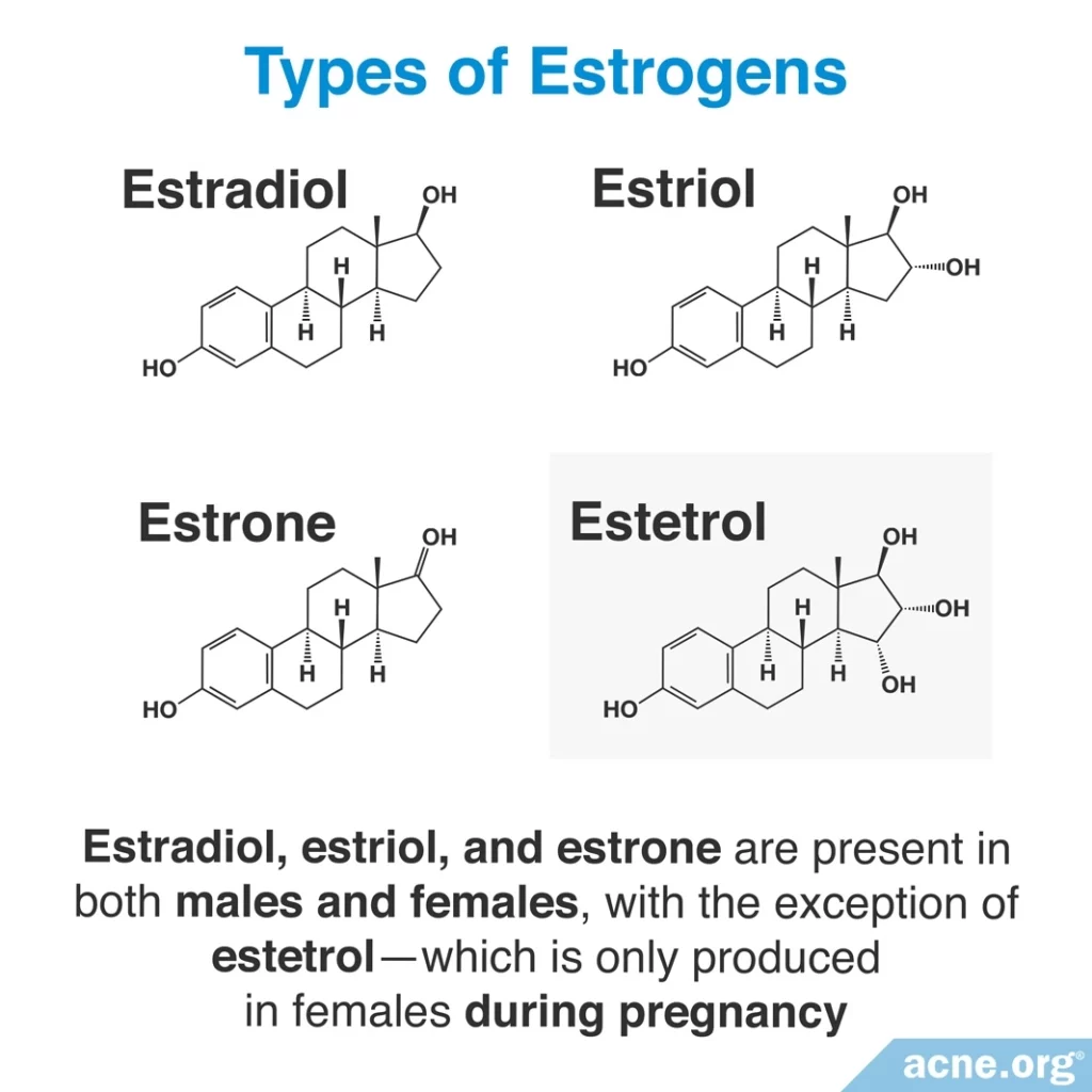 Types of Estrogen