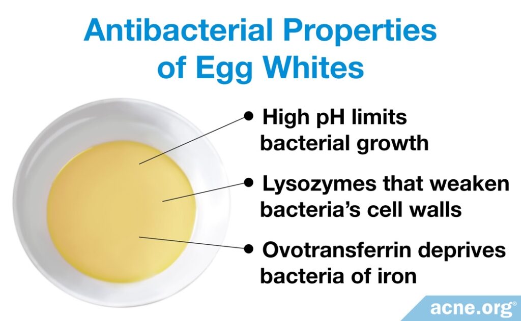 Antibacterial Properties of Egg Whites