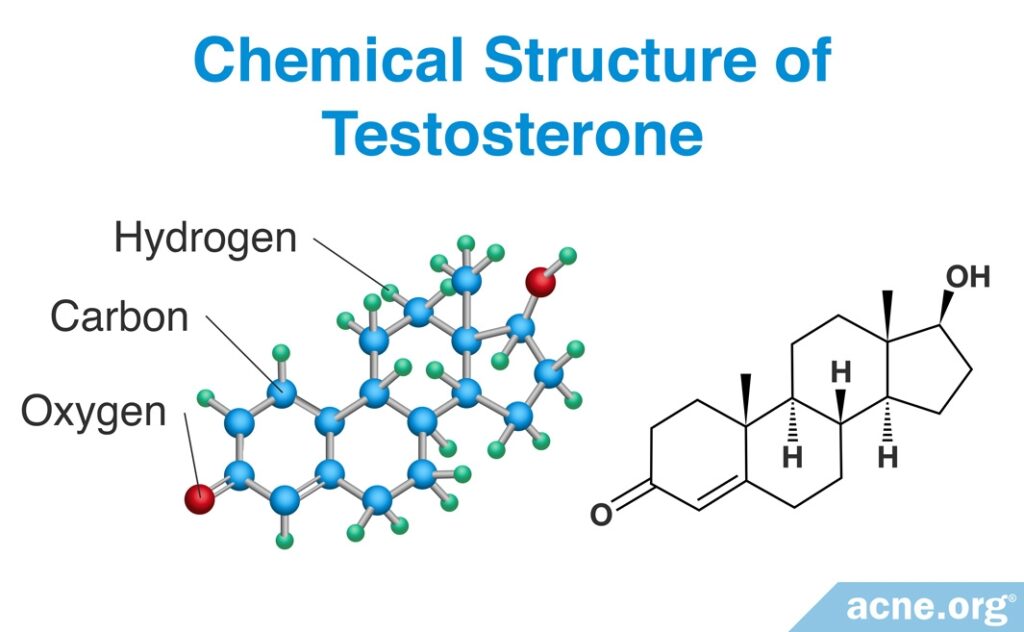 Chemical Structure of Testosterone