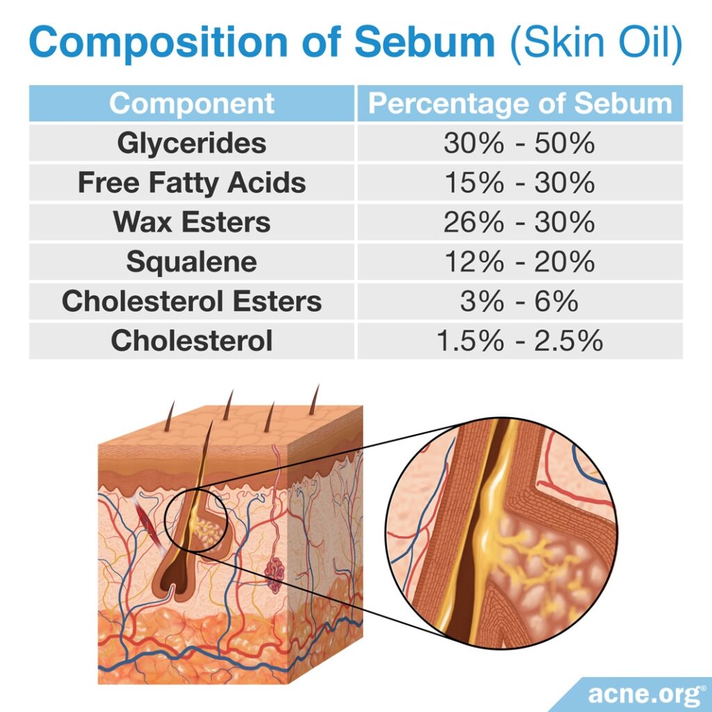 Composition of Sebum (Skin Oil)