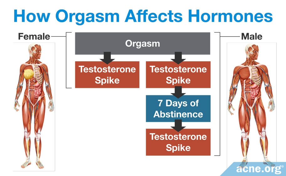 How Orgasm Affects Hormones