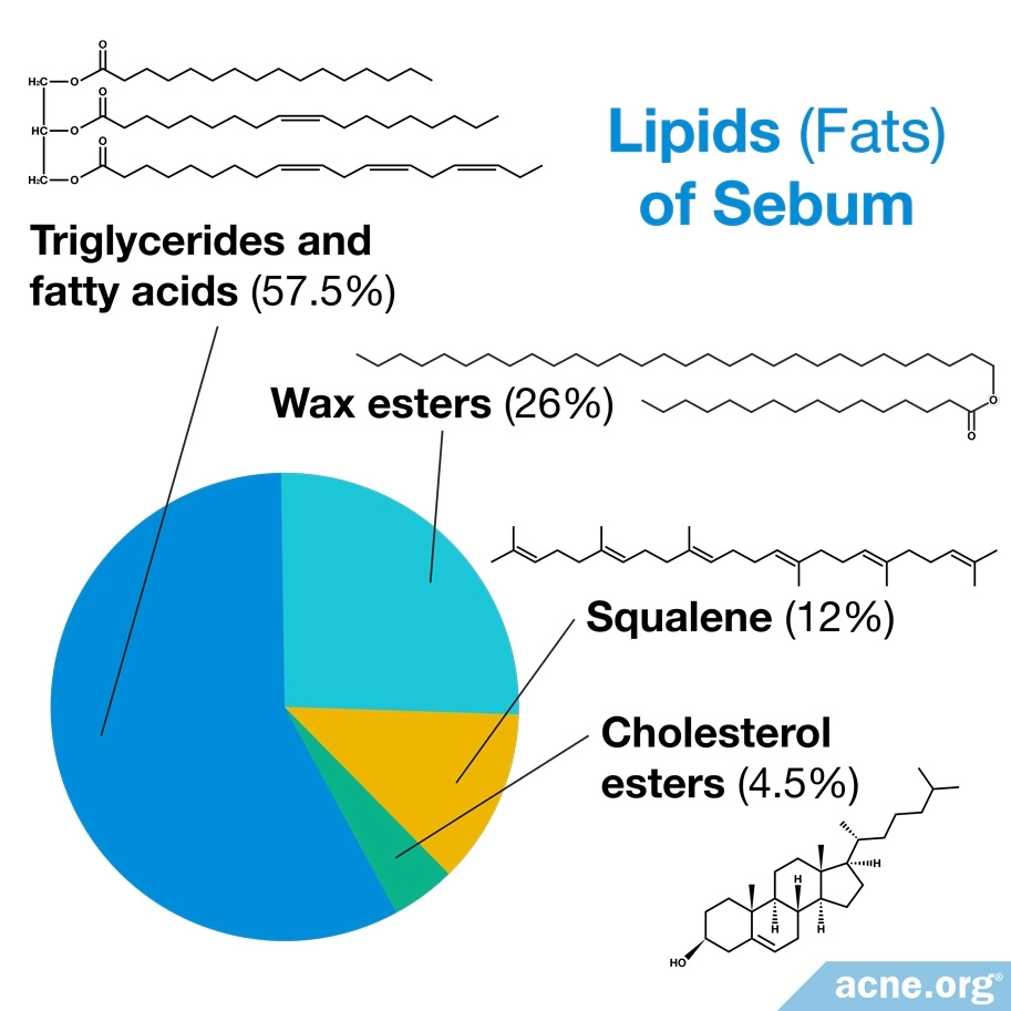 Lipids of Sebum