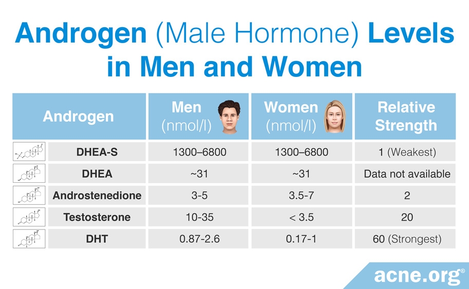 Androgen (Male Hormone) Levels in Men and Women
