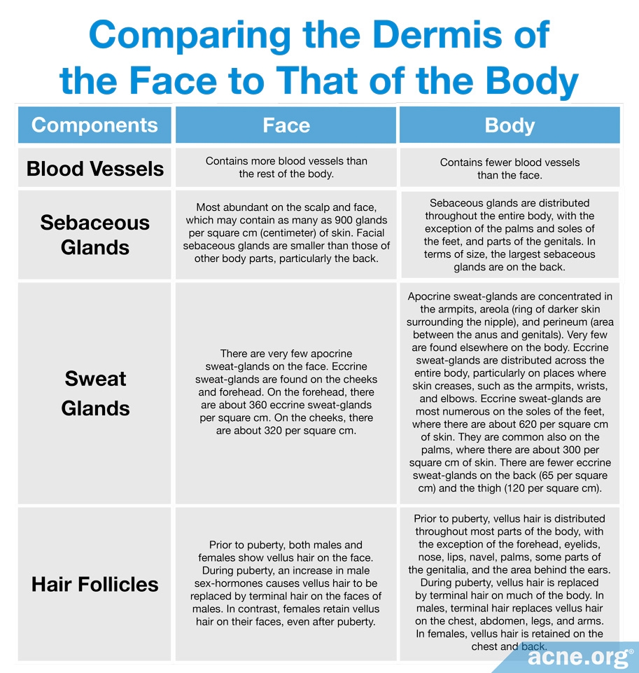 Comparing the Dermis of the Face to That of the Body