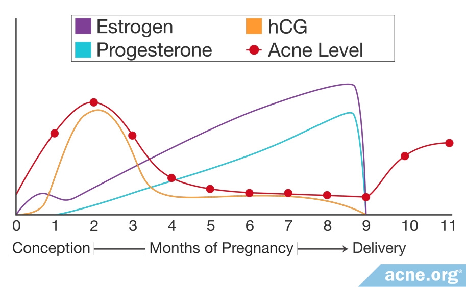 Hormone Levels During Pregnancy