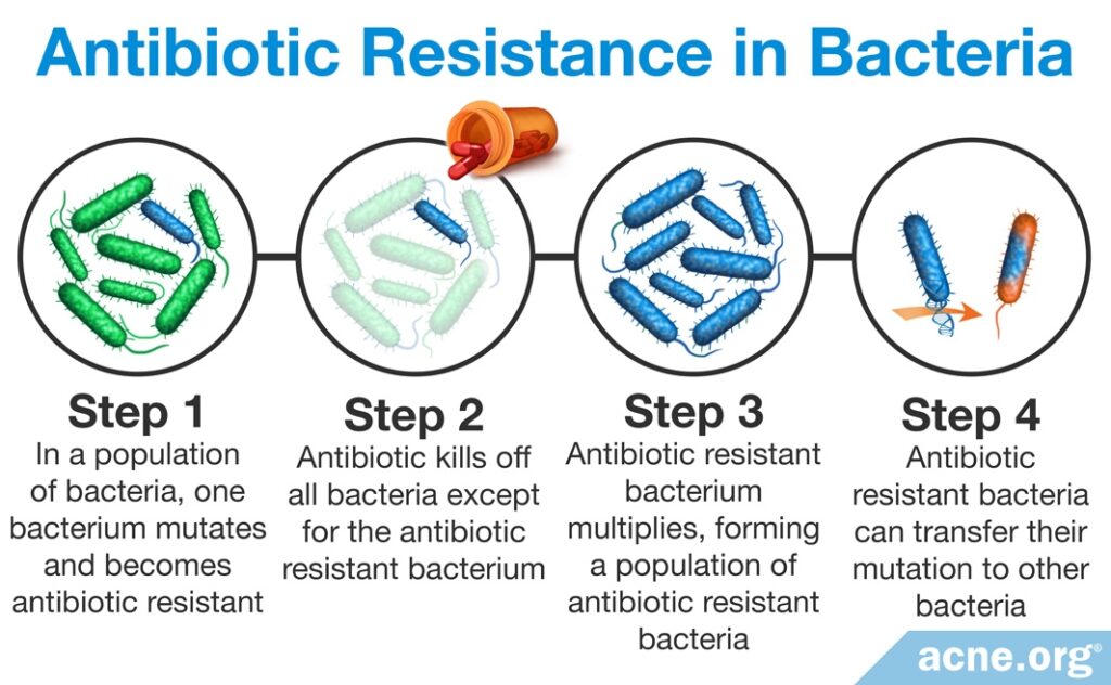 Antibiotic Resistance in Bacteria
