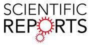 Scientific Reports