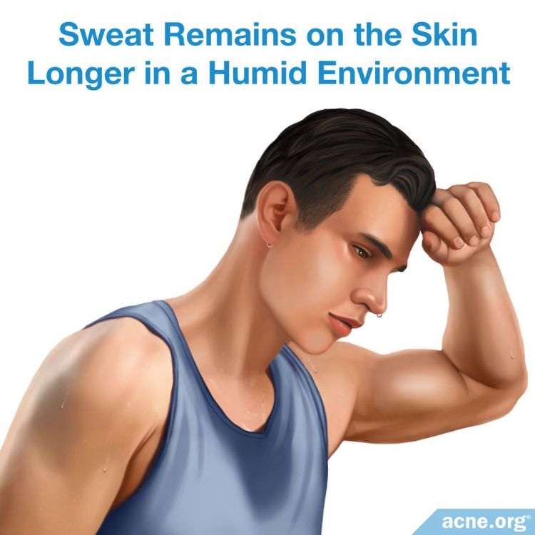Sweat Remains on the Skin Longer in a Humid Environment