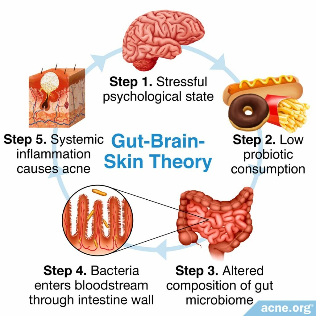 Gut-Brain-Skin Theory