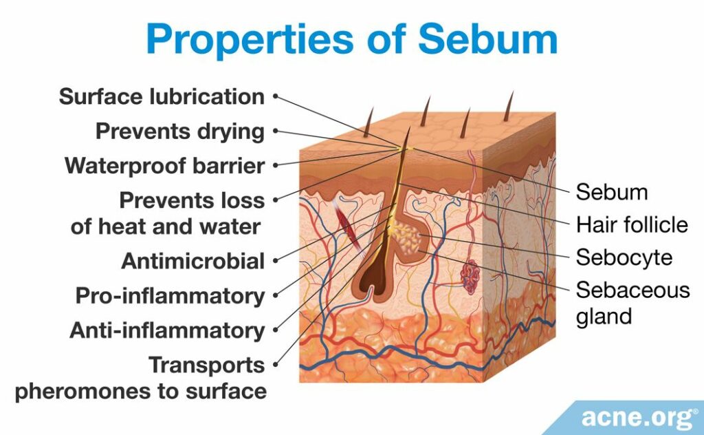 Properties of Sebum