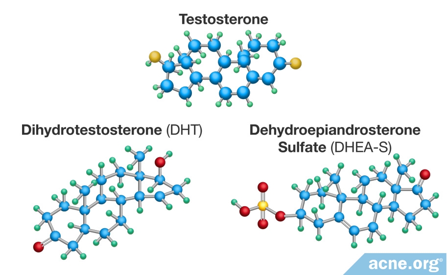 Dihydrotestosterone (DHT) - Testosterone - Dehydroepiandrosterone Sulfate (DHEA-S)