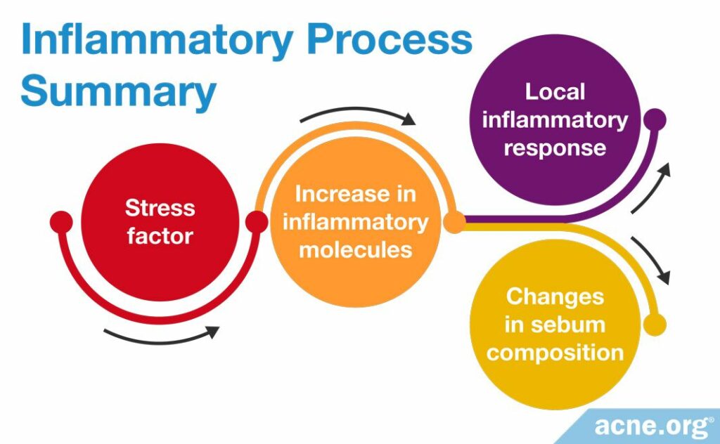 Inflammatory Process Summary