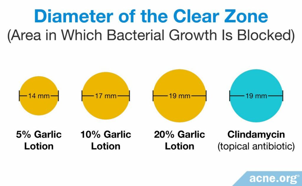 Antibacterial Effects of Garlic