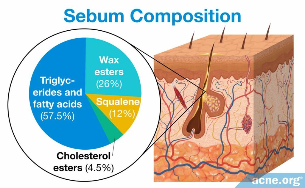 Sebum Composition