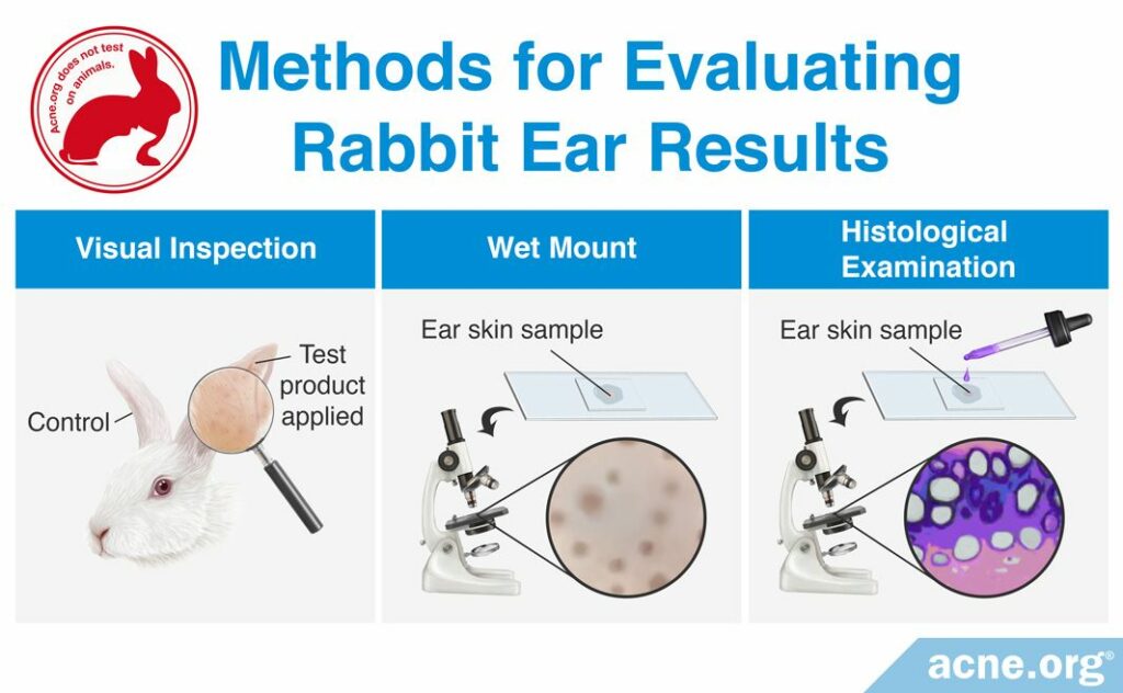 Method for Evaluating Rabbit Ear Results