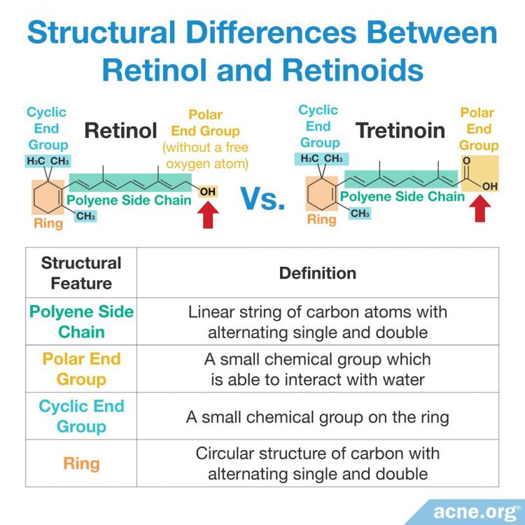 Structural Differences Between Retinol and Retinoids