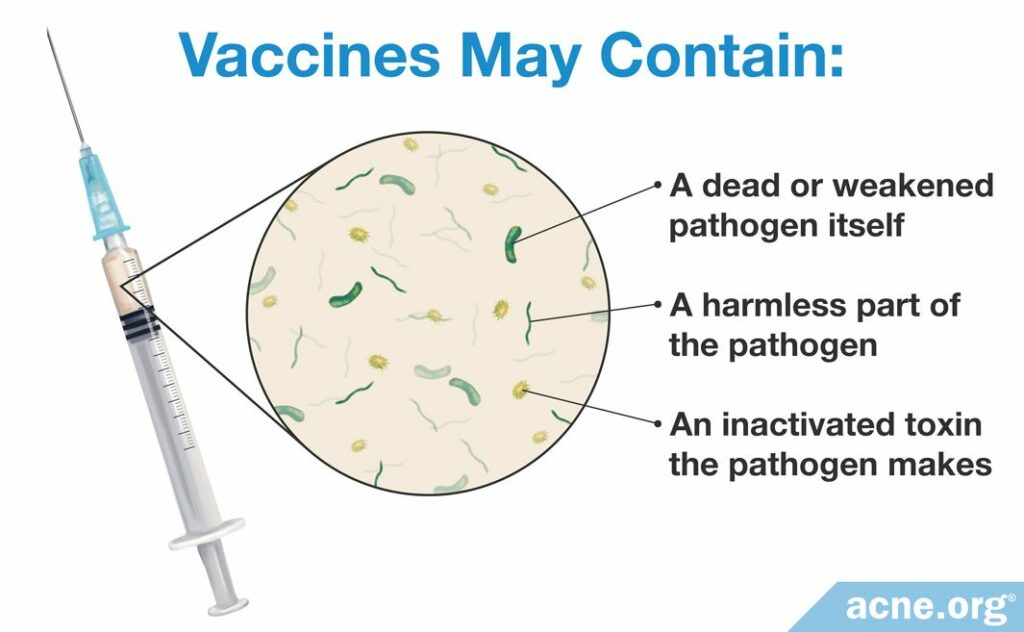 Vaccines may contain a dead or weakened pathogen, a harmless part of the pathogen, and an inactive toxin the pathogen makes