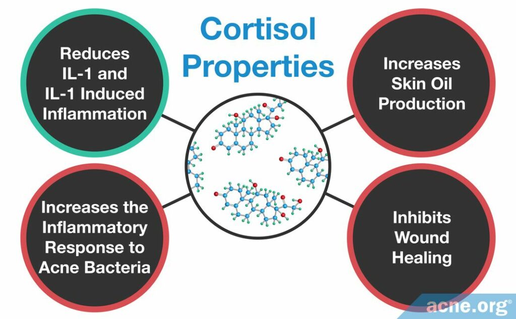 Cortisol Properties