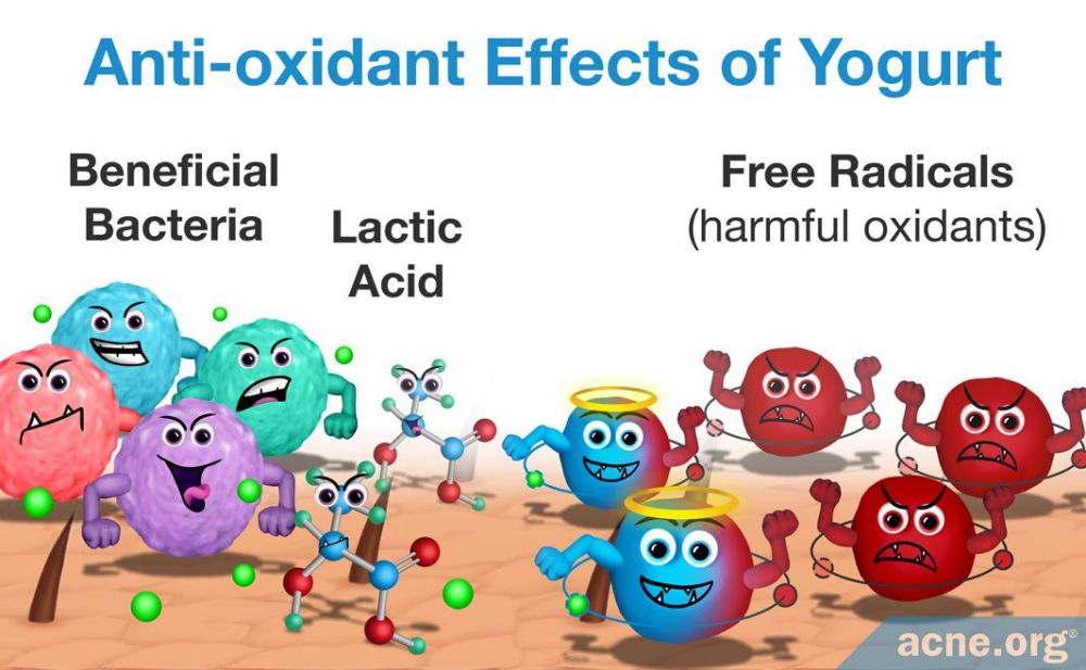 Anti-oxidant Effects of Yogurt