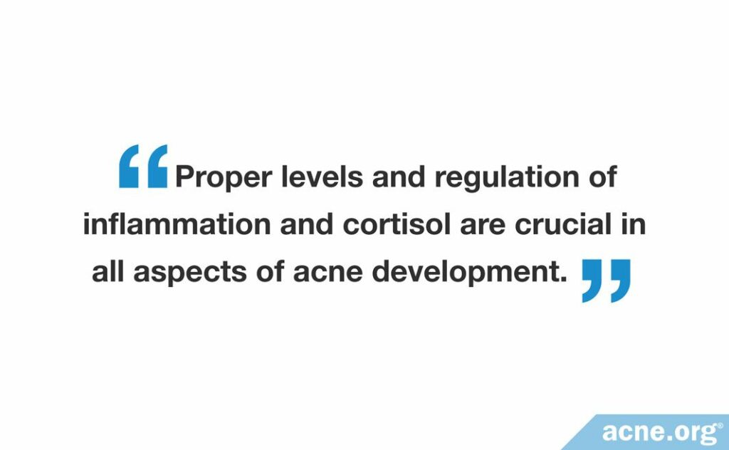 Prosper levels and regulation of inflammation and cortisol are crucial in all aspects of acne development