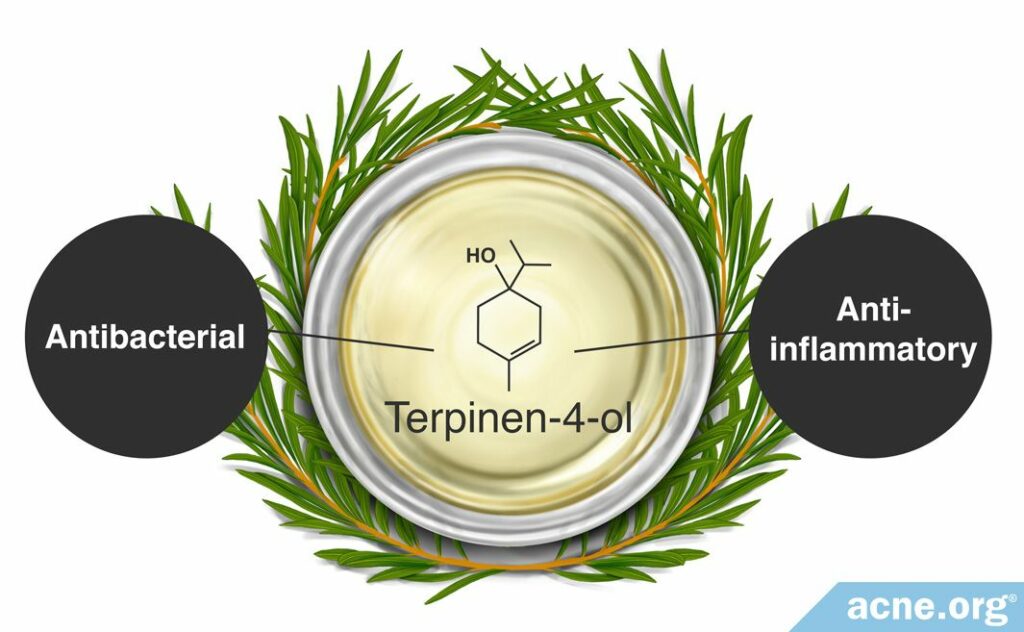 Tea Tree Oil Antibacterial and Anti-inflammatory Properties