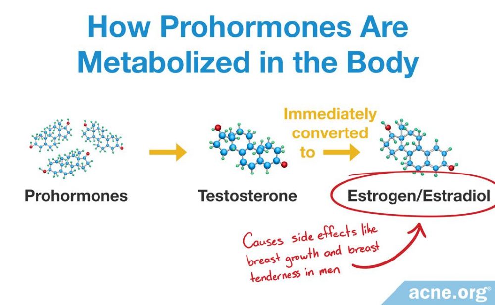 How Prohormones Are Metabolized in the Body