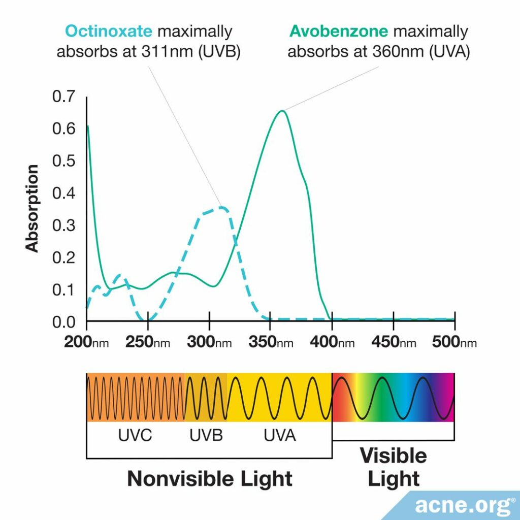 Octinoxate and Avobenzone Absorption of UVB and UVA Light