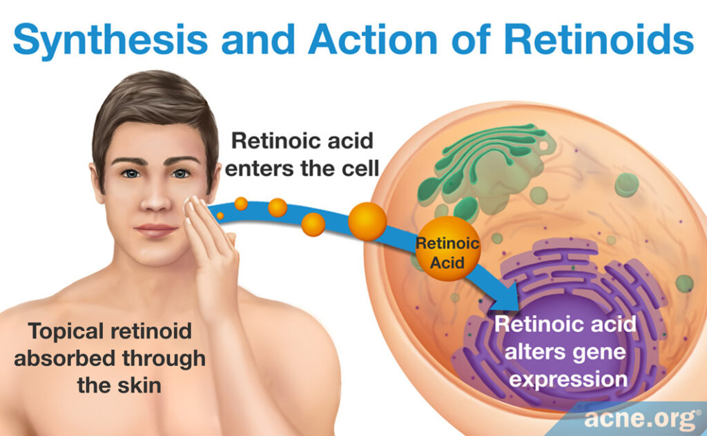 Synthesis and action of retinoids