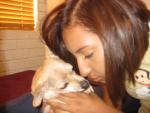 Meow Meow Hiss