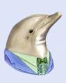 Dapper Dolphin