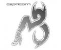 Capricorn 110