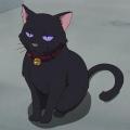 Profile picture of kittycatsaysmeow