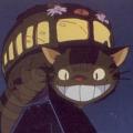 Neko- Chan