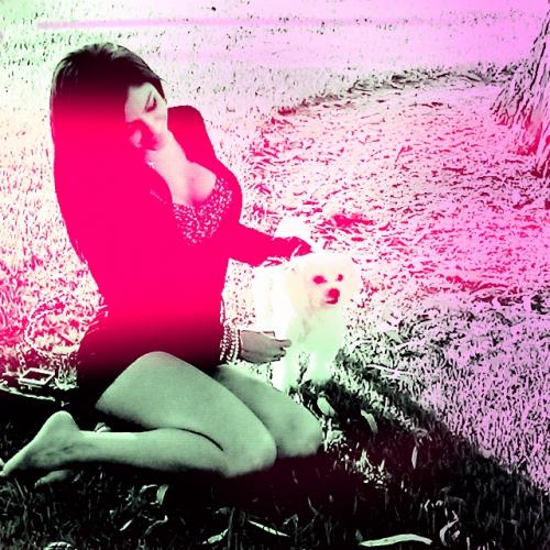 dolldee