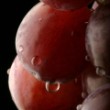 Profile picture of Red Grapes