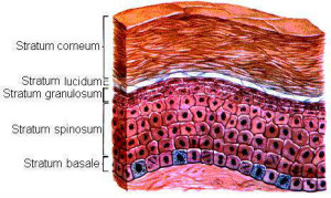 Profile picture of NHGM15