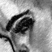 Profile picture of animhata