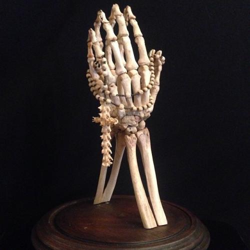 queenofthemacabre