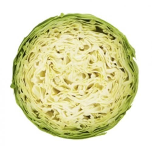 Profile picture of Cabbages