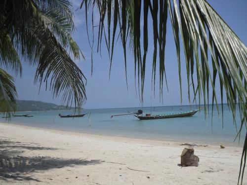 Samui Lover