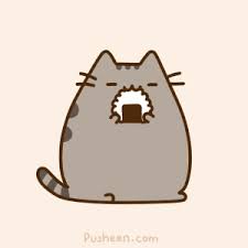 Acne Cat